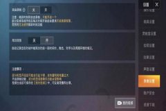 和平精英该怎么举报外挂（和平精英怎么查询举报的外挂）